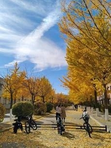 166f3b4d290010b9a3fc6885440a130