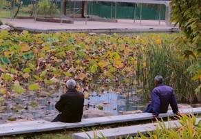 图示, 示意图
中度可信度描述已自动生成:ver1