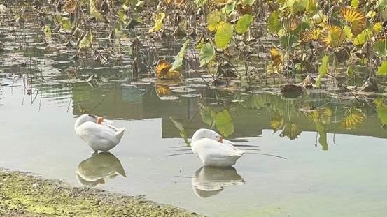 微信图片_20231028200530