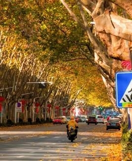 图示, 示意图
中度可信度描述已自动生成:ver1