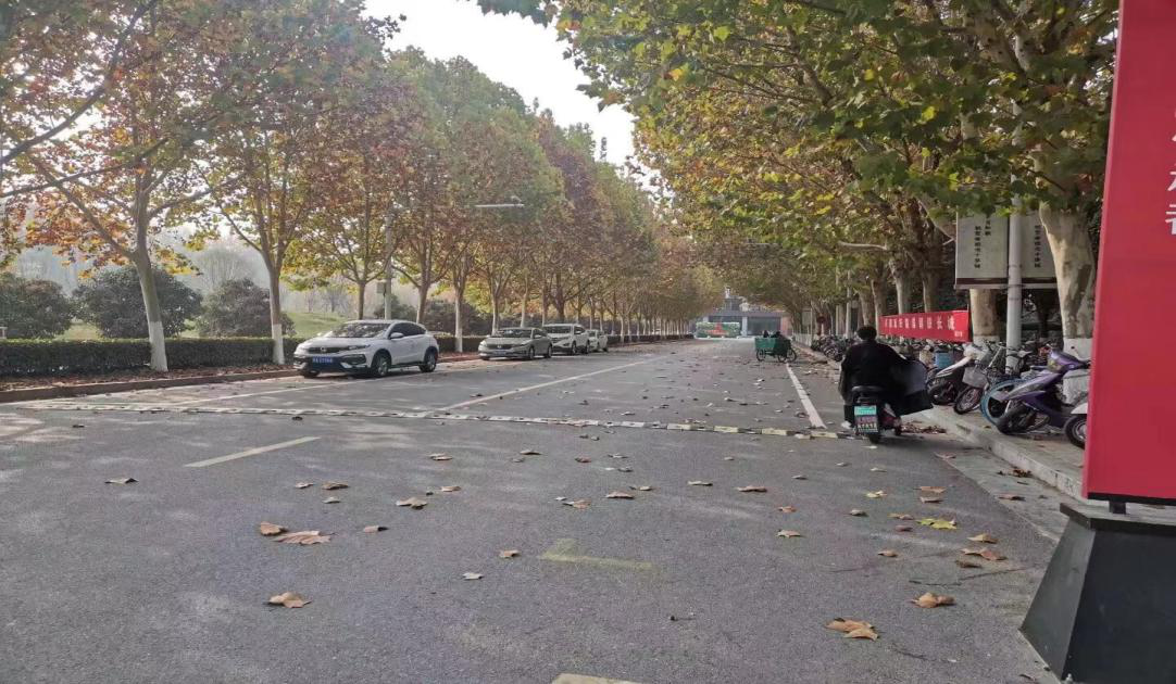 图片11.png 图片11.png